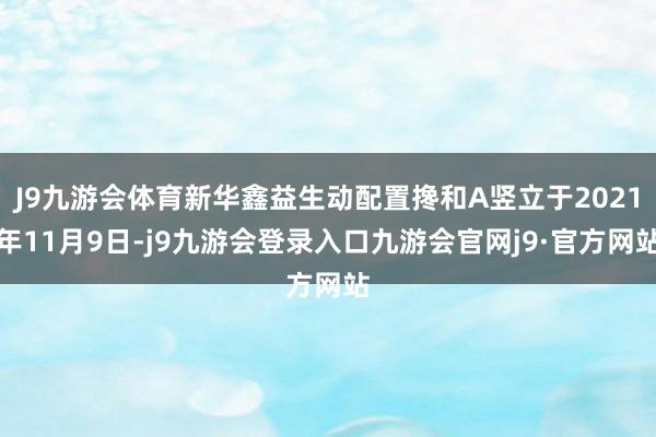 J9九游会体育新华鑫益生动配置搀和A竖立于2021年11月9日-j9九游会登录入口九游会官网j9·官方网站